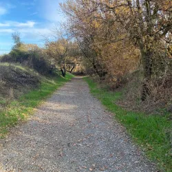 Putah Creek Riparian Reserve - Davis