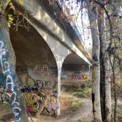 Putah Creek Riparian Reserve - Davis