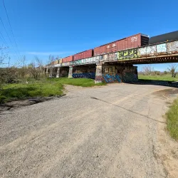 Putah Creek Riparian Reserve - Davis