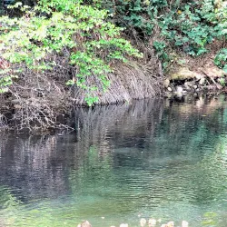 UC Davis Arboretum and Public Garden - Davis