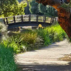 UC Davis Arboretum and Public Garden - Davis