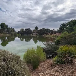 UC Davis Arboretum and Public Garden - Davis