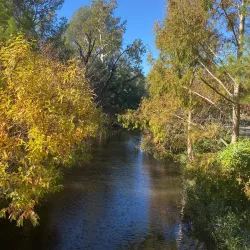 UC Davis Arboretum and Public Garden - Davis