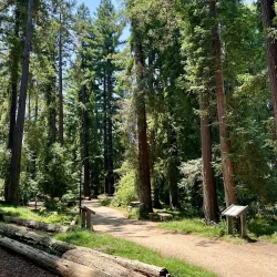 UC Davis Arboretum and Public Garden - Davis