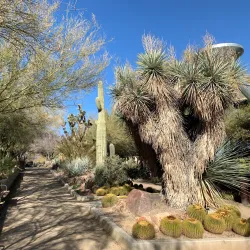 The Springs Preserve - Desert Hot Springs