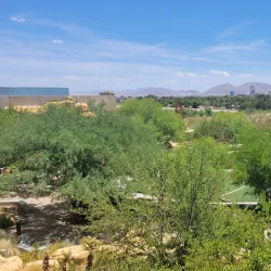 The Springs Preserve - Desert Hot Springs