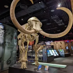 The Springs Preserve - Desert Hot Springs