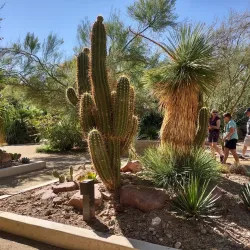 The Springs Preserve - Desert Hot Springs