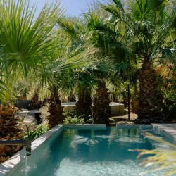 Two Bunch Palms Resort & Spa - Desert Hot Springs