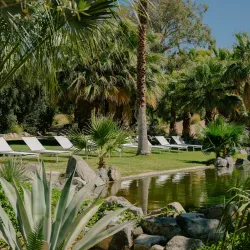 Two Bunch Palms Resort & Spa - Desert Hot Springs