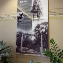 Diamond Bar Library - Diamond Bar