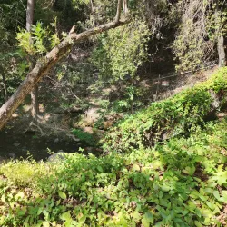 Gioia Park - Diamond Bar