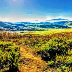 Pantera Hills Open Space - Diamond Bar