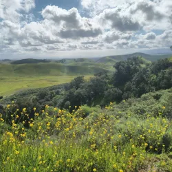 Pantera Hills Open Space - Diamond Bar
