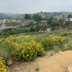 Pantera Hills Trail - Diamond Bar