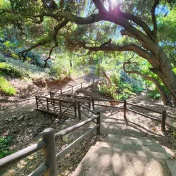 Summit Park - Diamond Bar