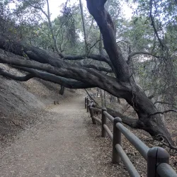 Sycamore Canyon Park - Diamond Bar