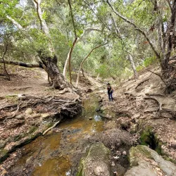Sycamore Canyon Park - Diamond Bar
