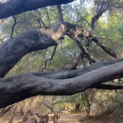 Sycamore Canyon Park - Diamond Bar