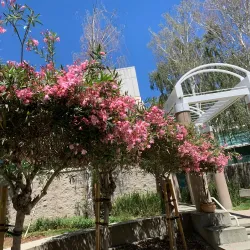 Dublin Civic Center - Dublin