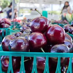 Dublin Farmers Market - Dublin