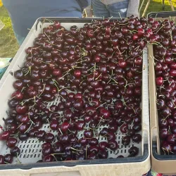 Dublin Farmers Market - Dublin