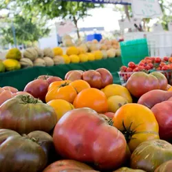 Dublin Farmers Market - Dublin