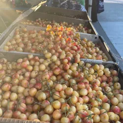 Dublin Farmers Market - Dublin