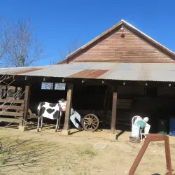 Dublin Heritage Park & Museums - Dublin