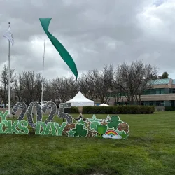 Dublin Library - Dublin
