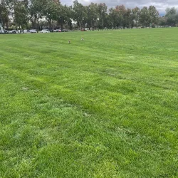Emerald Glen Park - Dublin