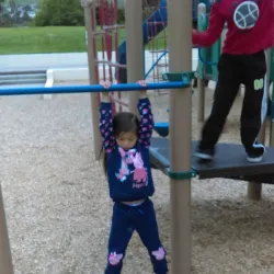 Shannon Community Center - Dublin