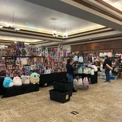 Shannon Community Center - Dublin