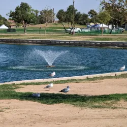 Bucklin Park - El Centro