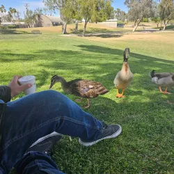 Bucklin Park - El Centro