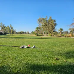 El Centro Municipal Golf Course - El Centro
