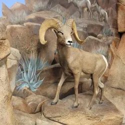 Imperial Valley Desert Museum - El Centro