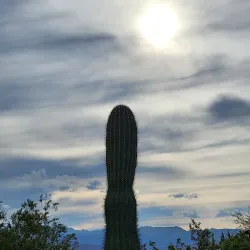 Imperial Valley Desert Museum - El Centro