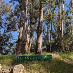 Albany Hill - El Cerrito