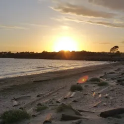 Albany Hill - El Cerrito