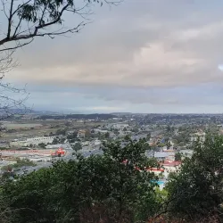 Albany Hill - El Cerrito