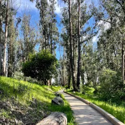 Albany Hill - El Cerrito