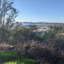 Albany Hill - El Cerrito