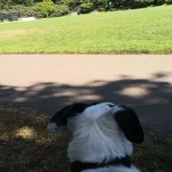 Cerrito Vista Park - El Cerrito