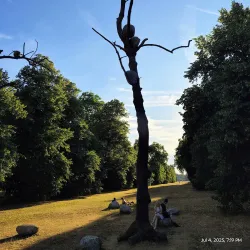 Kensington Park - El Cerrito