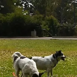 Kensington Park - El Cerrito