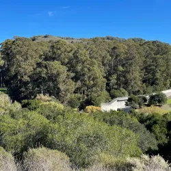 San Pablo Reservoir - El Cerrito