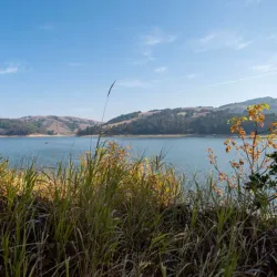 San Pablo Reservoir - El Cerrito