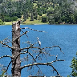 San Pablo Reservoir - El Cerrito