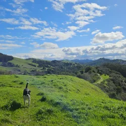 Wildcat Canyon Regional Park - El Cerrito